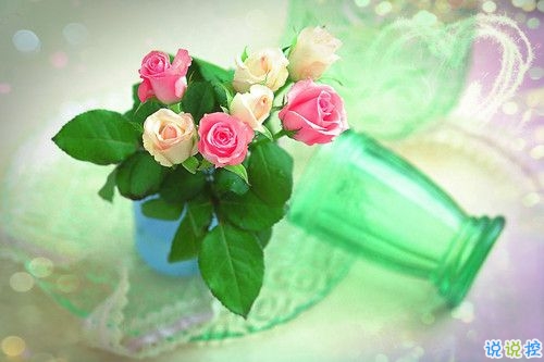 2019關(guān)于春分的微信說(shuō)說(shuō)帶圖片 春分節(jié)氣早安祝福語(yǔ)10