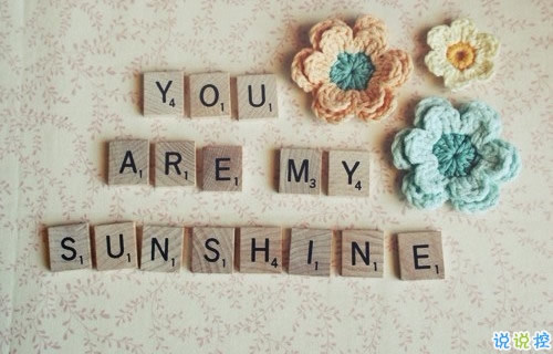 表達(dá)愛意的唯美句子配圖 肯定能打動你心的唯美說說帶圖片1