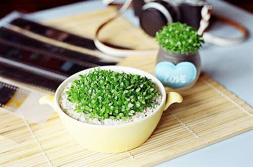 關(guān)于人生和愛情的唯美小清新句子帶圖片 我路過萬家燈火而你才是我的歸途9