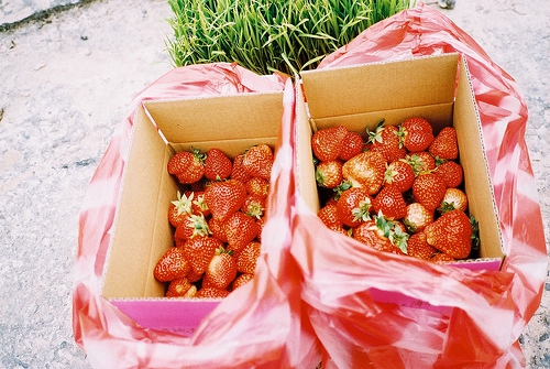 關于人生哲理和現(xiàn)實經(jīng)歷的一句話簡單精辟的說說帶圖片7