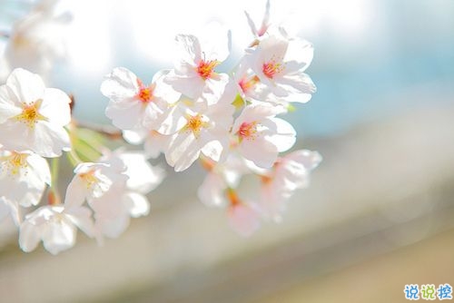 情侶秀恩愛的愛情句子合集 你儂我儂的唯美愛情句子2