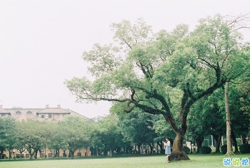 大學生必看的搞笑暖心情話 不同系別的學霸怎么表白2