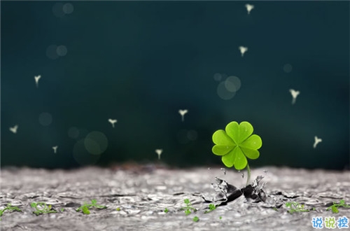 2019微信樂觀勵志的句子帶圖片 經(jīng)典勵志說說心情短語9