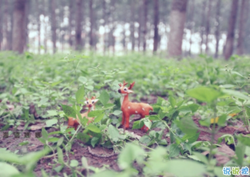 分手后的唯美傷感說(shuō)說(shuō)帶圖片 適合的男生的傷感說(shuō)說(shuō)簡(jiǎn)單點(diǎn)的6