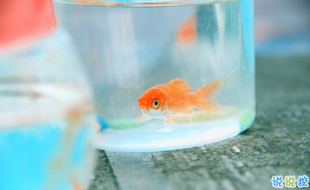 艾特自己的自嘲句子說說文字控 有關艾特自己的個性說說1