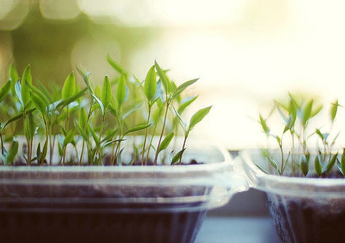 關(guān)于愛情的有些傷感但卻很有道理的唯美文藝說說1