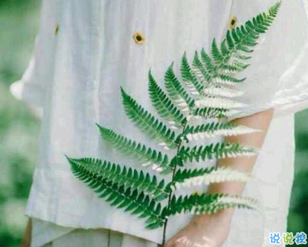 有詩意的唯美帶圖片的說說精選 一段話帶唯美的說說不期待不將就11