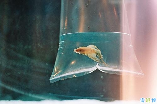 長(zhǎng)大了才會(huì)懂得的道理說(shuō)說(shuō) 幾年前你不懂現(xiàn)在懂得的道理大全1