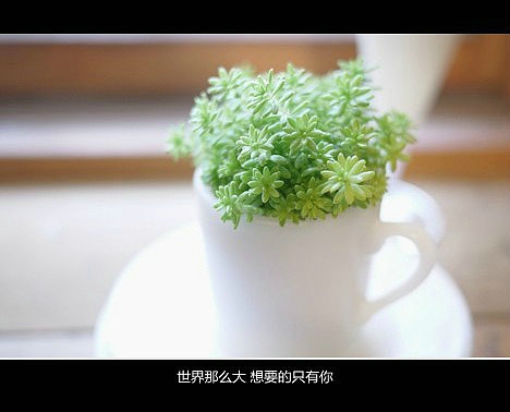 超傷感難過悲傷的愛情說說 你是我枯水年紀(jì)里的一場雨8