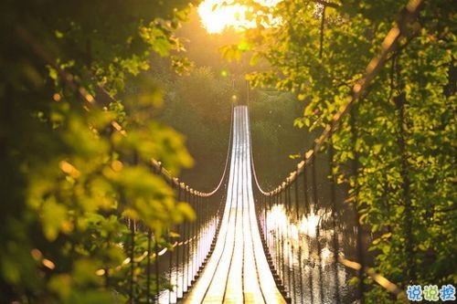 2019最新qq小情話帶圖片大全 最感動(dòng)的唯美情話說說9