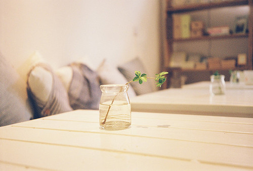 關于愛情的經(jīng)典說說 有些愛只能止于唇齒掩于歲月2