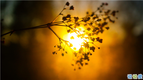 姑娘，我有15句悄悄話說給你聽。9