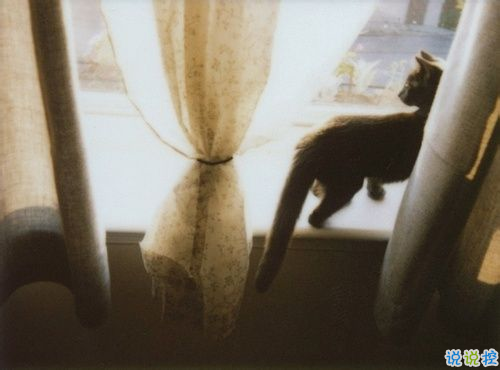 傷感意境適合失戀后發(fā)的說說帶圖片 不打擾是我的溫柔3