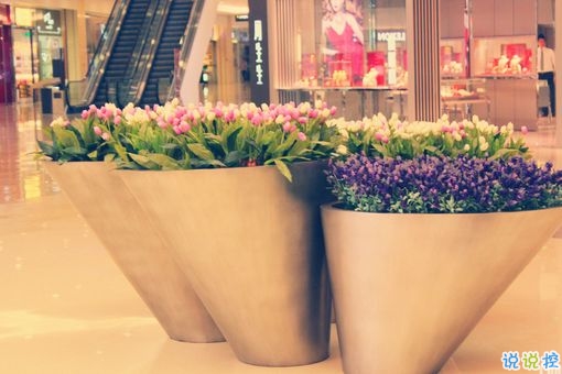 適合跨年夜發(fā)的個性說說 2019跨年說說暖心話語艾特對象2