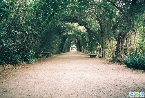 qq空間勵志說說帶圖片2019 00后都愛的勵志句子年輕人必備7