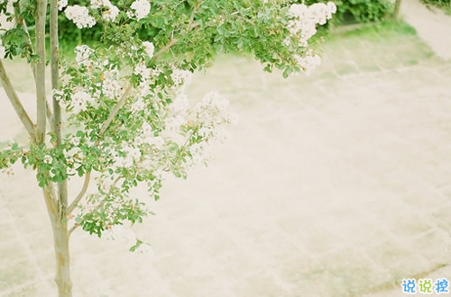 經(jīng)典正能量朋友圈說說帶圖片 2018別人必評的經(jīng)典說說配圖7