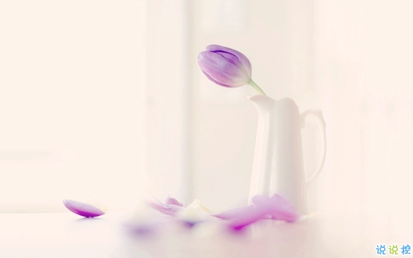 2019谷雨節(jié)氣經(jīng)典說說大全 谷雨朋友圈經(jīng)典語錄2