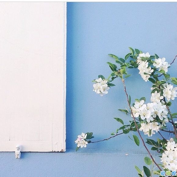 00后青春期暗戀一個人的甜蜜心情說說帶圖片9