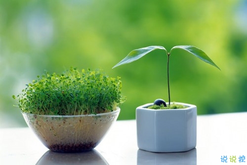 想不開(kāi)難以釋?xiě)训谋瘋渥?一顆心被傷得破碎的說(shuō)說(shuō)2