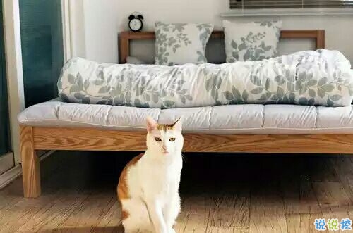 戀愛中的甜蜜溫暖小情緒說說帶圖片 跨越大半個地球與你相見12