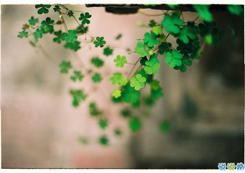 青春勵志經(jīng)典說說大全帶圖片 好聽又特別有哲理的一些話5