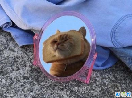 爸媽哪些言行讓你懷疑自己可能是撿來的 雷死人的回答1