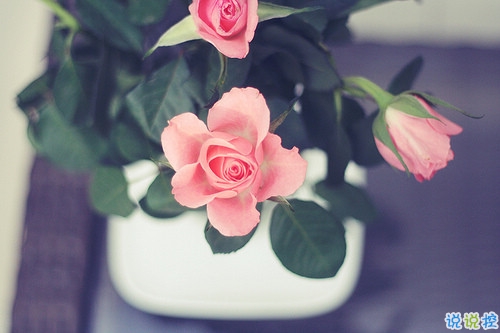 內(nèi)心煎熬的傷感說說帶圖片 始終無法忘記他的虐心說說13