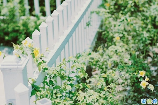 適合孤獨時候發(fā)的治愈心情說說帶圖片 孤獨沒有形狀卻是無數(shù)個你白日的模樣13