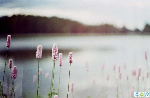 晚安說說勵志好心情一句大全帶圖片 簡單一句晚安心語勵志配圖14
