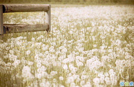 長(zhǎng)大變成熟了的經(jīng)典說(shuō)說(shuō)配圖 微信經(jīng)典說(shuō)說(shuō)現(xiàn)實(shí)人生感悟帶圖片 12