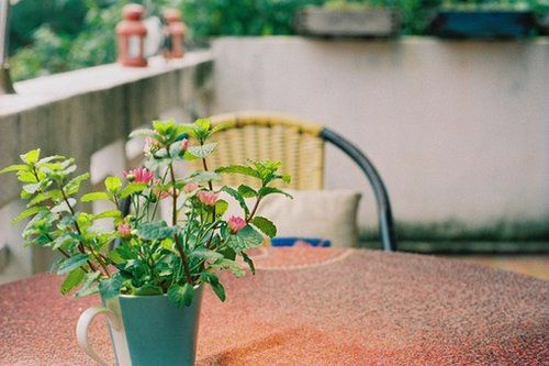 2019迎接四月經(jīng)典勵志說說 四月送給自己的勵志句子合集2