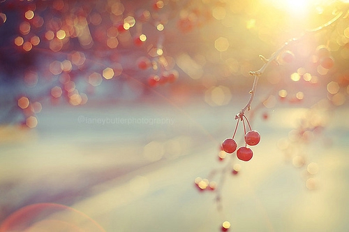 正能量的早安心語(yǔ)寫給有點(diǎn)低落沮喪的你的圖片說(shuō)說(shuō)10