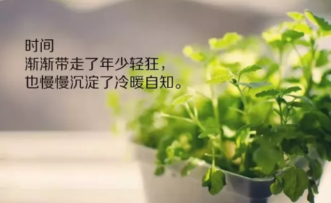 2018早安語(yǔ)錄正能量語(yǔ)句每天一句 微信早安語(yǔ)錄正能量滿滿2