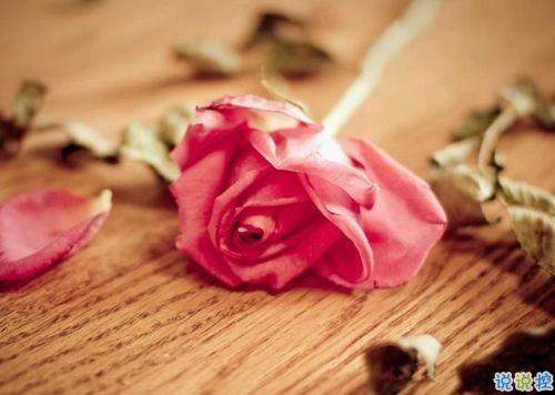 15條愛(ài)情說(shuō)說(shuō)我的心里話(huà) 愛(ài)情中最真實(shí)的感受說(shuō)說(shuō)配圖12