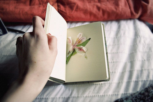 甜蜜的少女心愛(ài)情小情話說(shuō)說(shuō)帶圖片 我喜歡走在你的身后這樣你就成了我的方向4