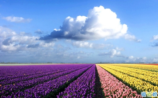 朋友圈個(gè)性說(shuō)說(shuō)簡(jiǎn)單一句話 趁著年輕把能干的壞事干了吧2