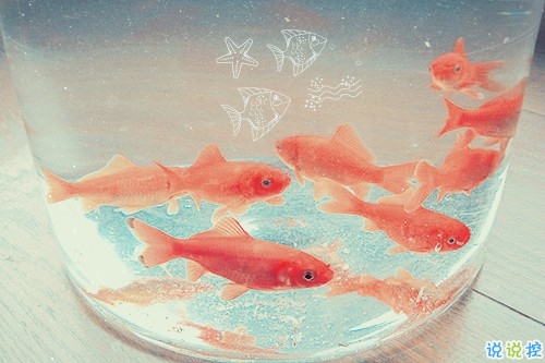 告別2018迎接2019的個(gè)性說(shuō)說(shuō)大全 2019最新充滿希望的勵(lì)志說(shuō)說(shuō)1