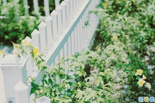 2018失落傷感后的圖片說說 帶有治愈系的傷感說說配圖12