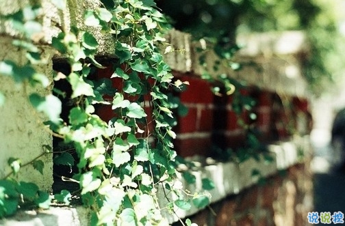 抖音上最搞笑的有趣的句子帶圖片 能讓你笑掉牙的搞笑說(shuō)說(shuō)合集9