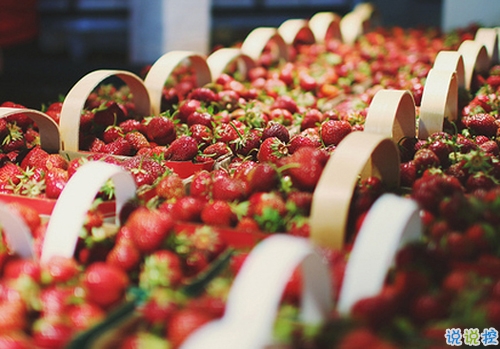 朋友圈曬美食的搞笑說說帶圖片 關(guān)于吃貨的說說簡短精辟20195