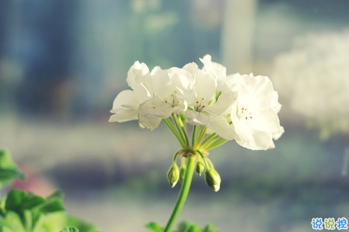 2019二月再見三月你好說說經(jīng)典勵志 三月你好微信早安句子1