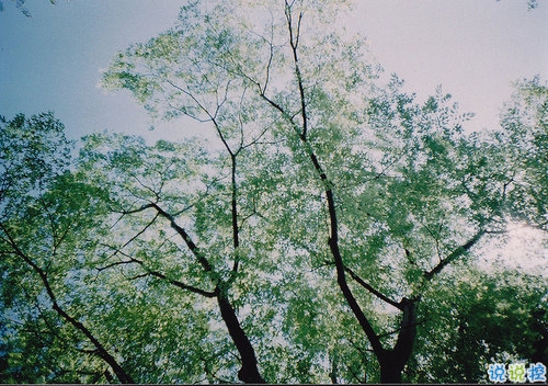 世界上最悲傷的句子帶圖片 等待你的關(guān)心等到我關(guān)上了心6