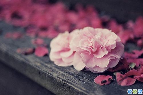 2019適合跨年夜的表白說(shuō)說(shuō) 一句話感動(dòng)對(duì)方的完美情話10