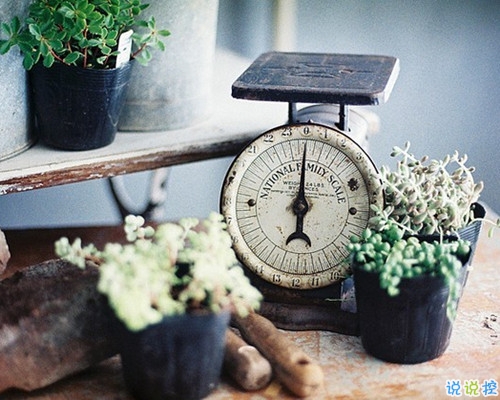 關(guān)于愛(ài)情的唯美簡(jiǎn)單一句話經(jīng)典說(shuō)說(shuō)帶圖 我生在南方活在南方卻栽在你手里14