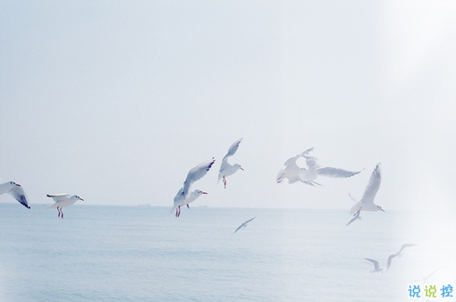 簡(jiǎn)單唯美的一句話圖片說說有道理的那種 生活需要一點(diǎn)詩(shī)意7