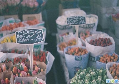 朋友圈早安勵志句子長一點的 美好的一天勵志句子新的開始1