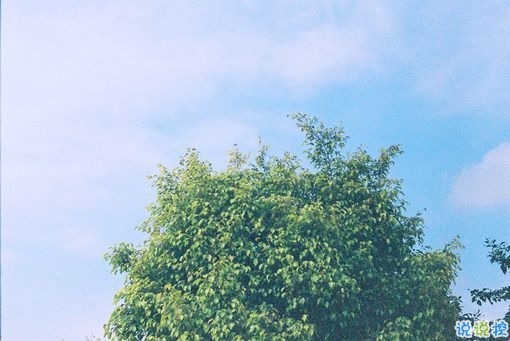 有點傷感的愛情說說帶圖片 失去一個人后是什么感覺 11