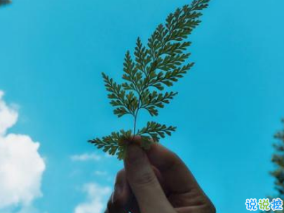 心已經(jīng)涼透了的說說帶圖片 不吵不鬧很悲傷的說說2