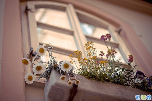 女生心情說(shuō)說(shuō)唯美文藝范帶圖片 簡(jiǎn)單好聽(tīng)的朋友圈說(shuō)說(shuō)20193