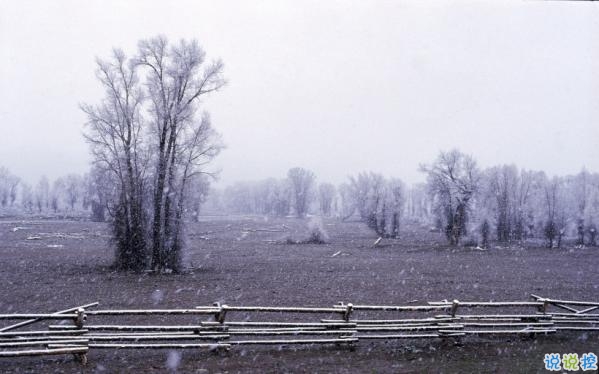 心里甜蜜蜜的愛情說(shuō)說(shuō)帶圖片 愛情說(shuō)說(shuō)一輩子只愛你15